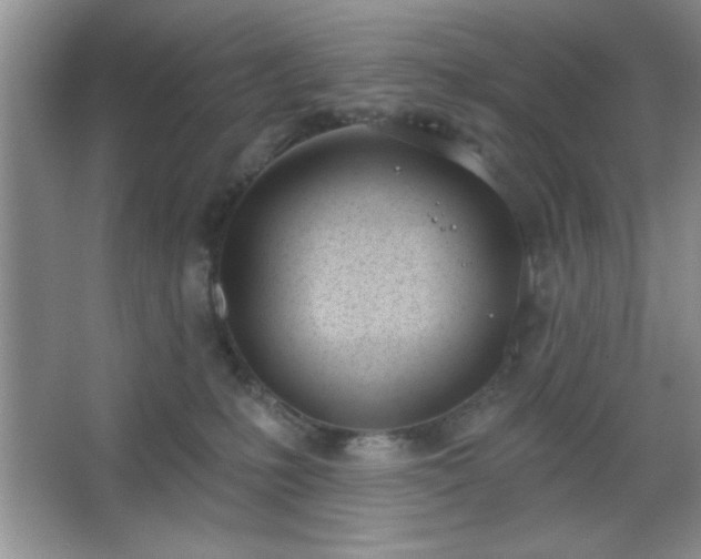 X0000067330231200604030941