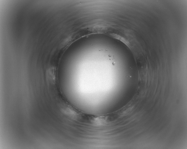 X0000067330232200604030941