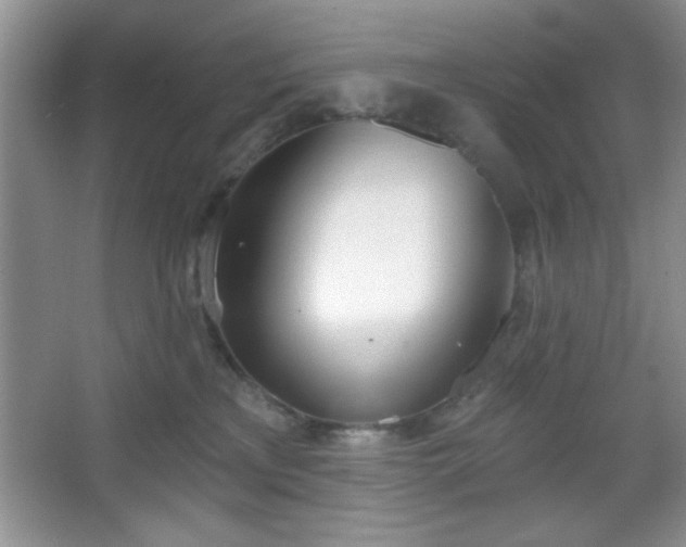 X0000067330233200604030941