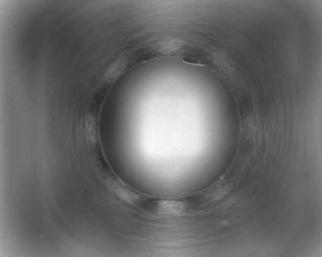 X0000067330234200604030941