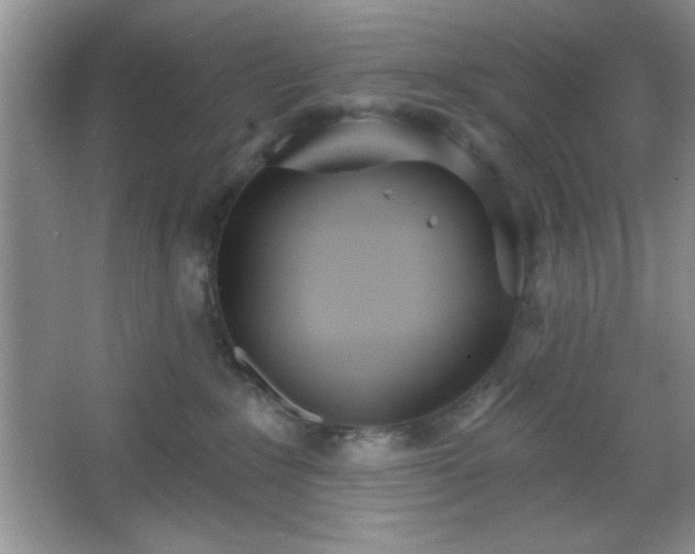 X0000067330235200604030941