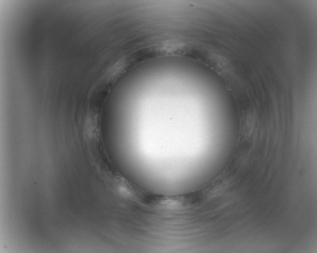 X0000067330236200604030941