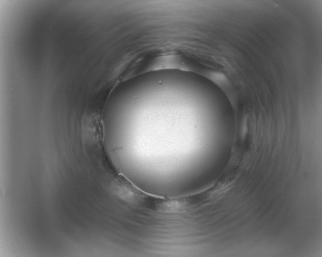 X0000067330237200604030941