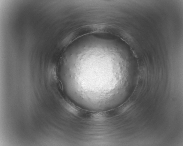 X0000067330238200604030941