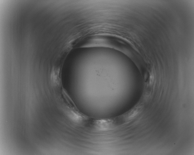 X0000067330239200604030941