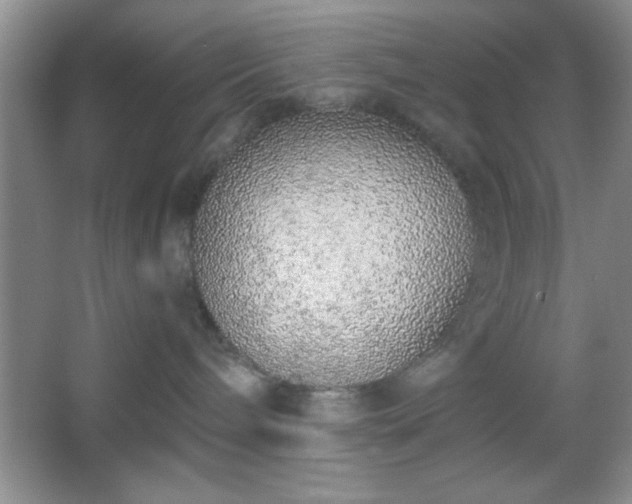 X0000067330240200604030941