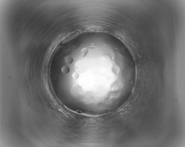 X0000067330241200604030940