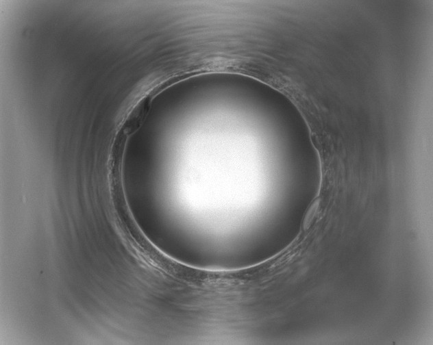 X0000067330242200604030940