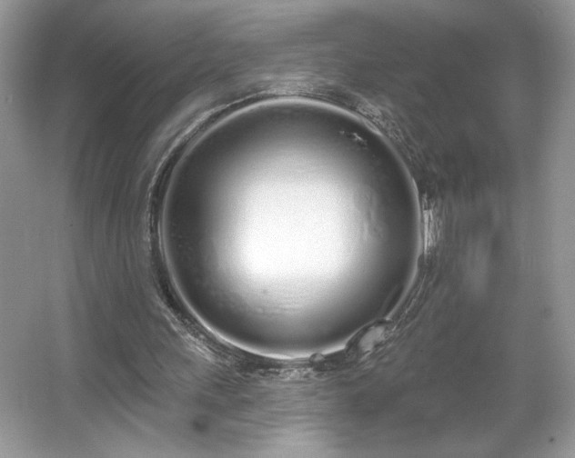 X0000067330243200604030940