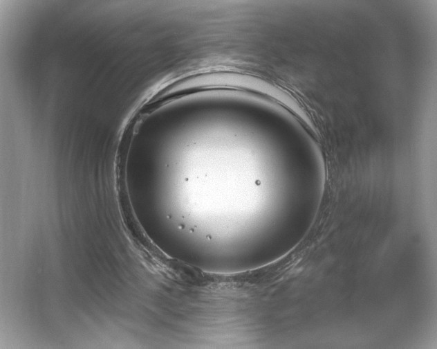 X0000067330244200604030940