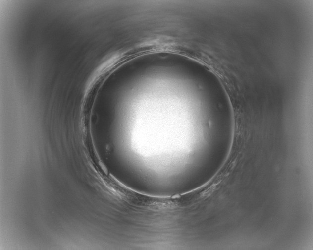 X0000067330245200604030940