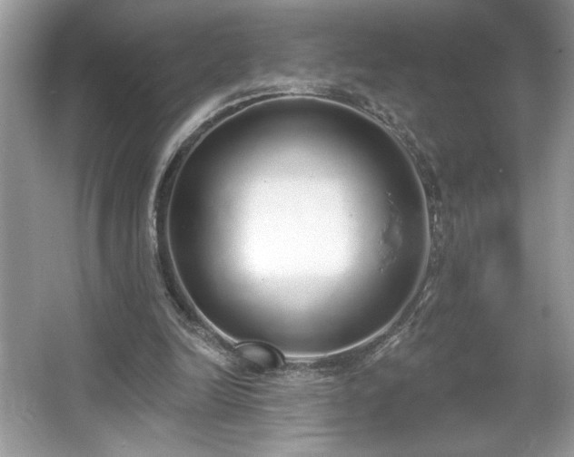 X0000067330246200604030940