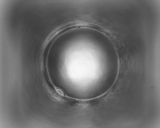 X0000067330247200604030940