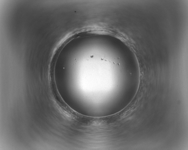 X0000067330248200604030940