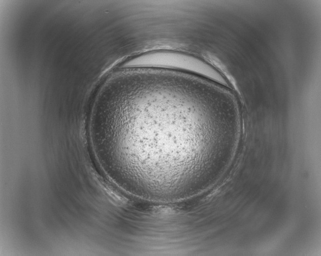 X0000067330249200604030940