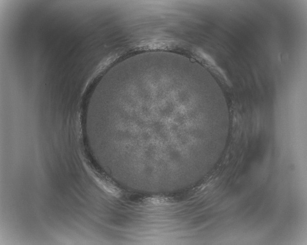 X0000067330250200604030940