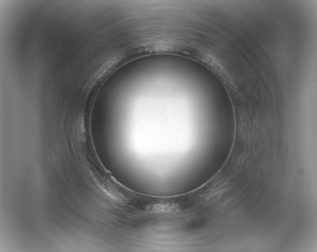 X0000067330251200604030940