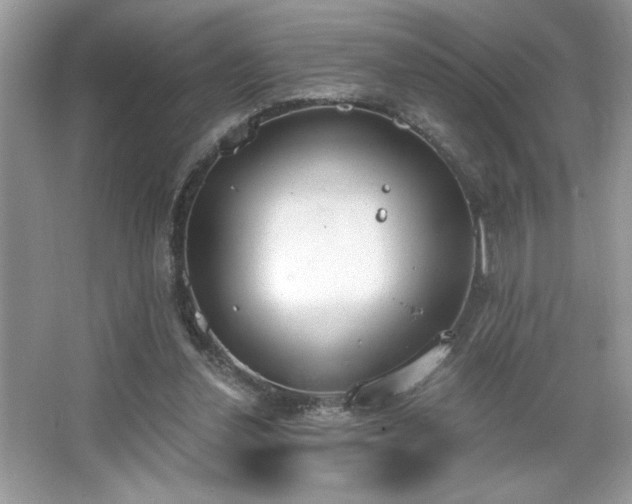 X0000067330252200604030941