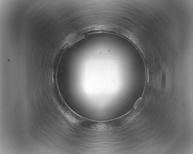 X0000067330253200604030941