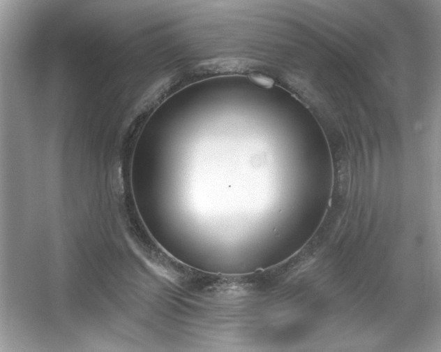 X0000067330254200604030941