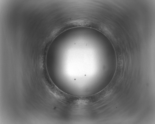 X0000067330255200604030941