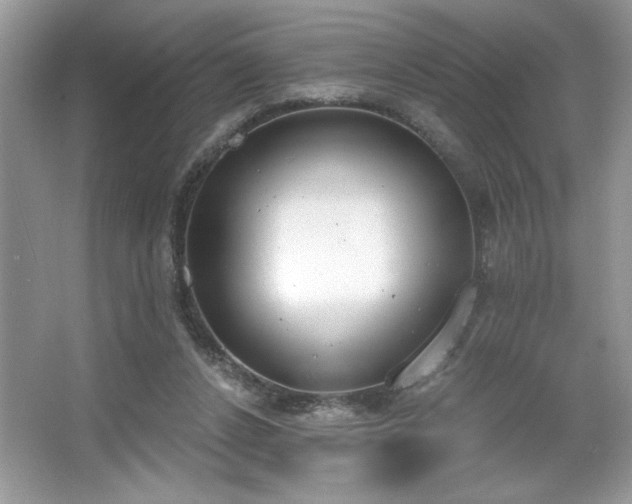 X0000067330256200604030941