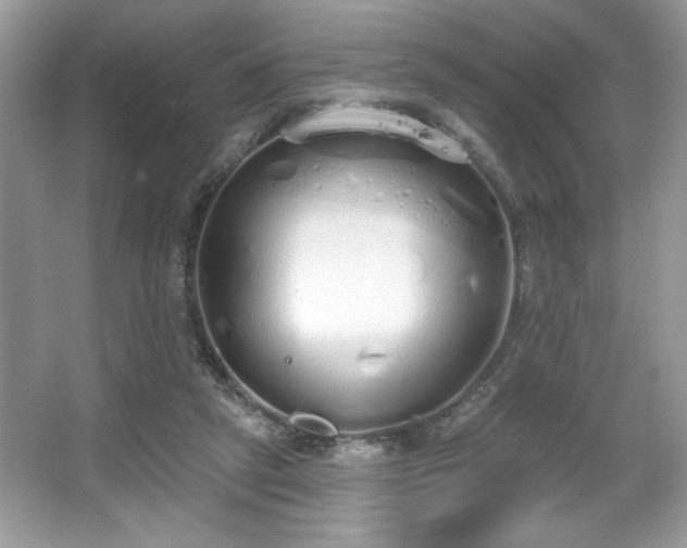 X0000067330257200604030941