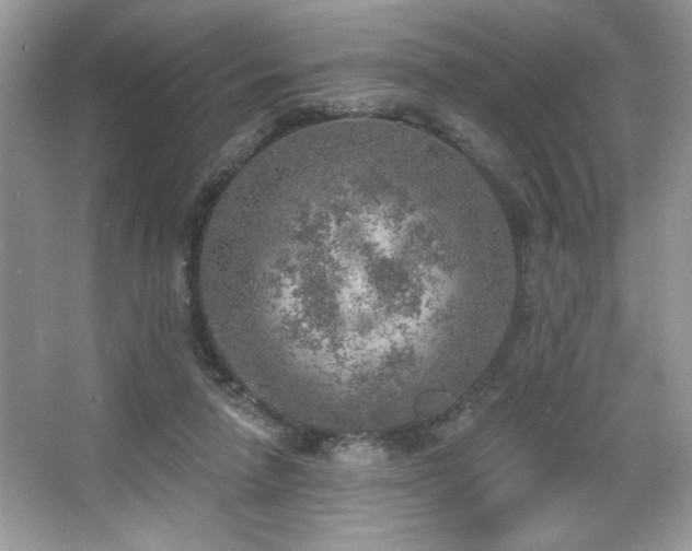 X0000067330258200604030941