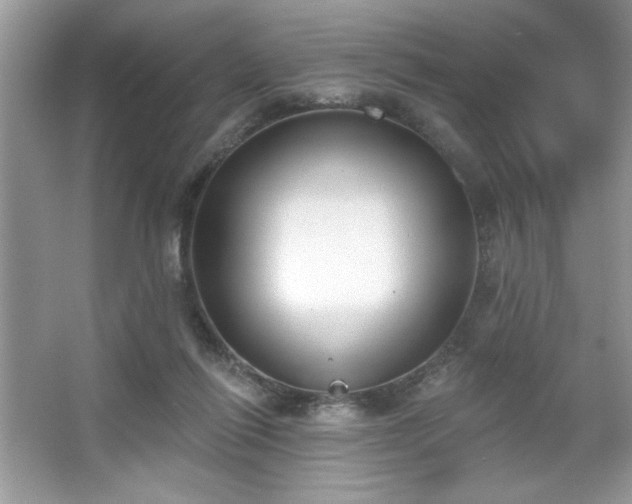 X0000067330262200604030941