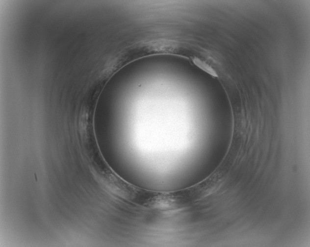 X0000067330263200604030941