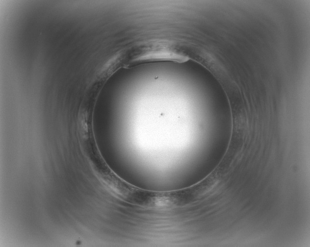 X0000067330264200604030941