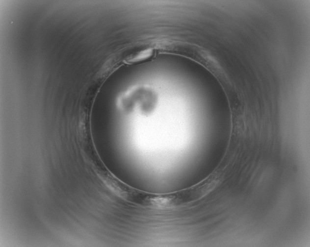 X0000067330265200604030941