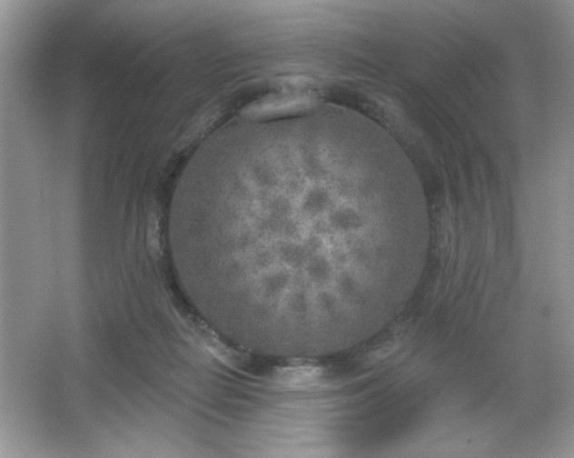 X0000067330266200604030941