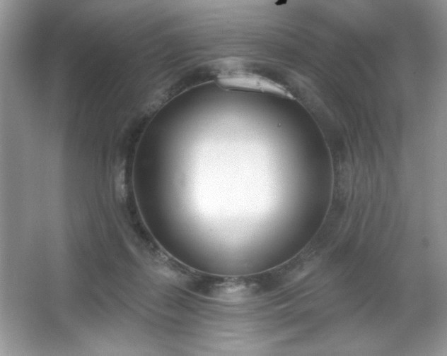 X0000067330267200604030941