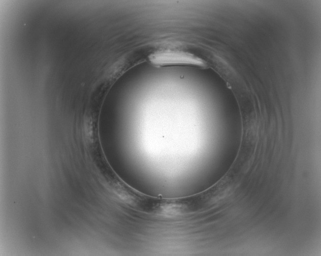 X0000067330268200604030941