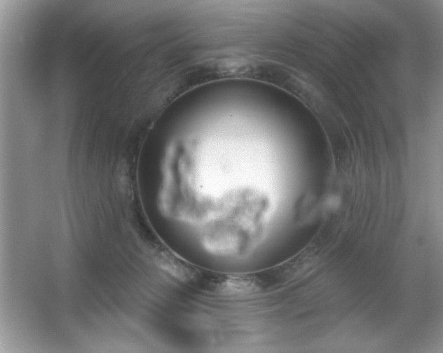 X0000067330270200604030941