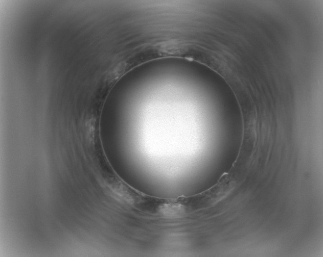 X0000067330271200604030941