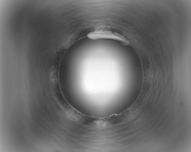 X0000067330272200604030941