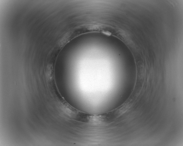 X0000067330273200604030941