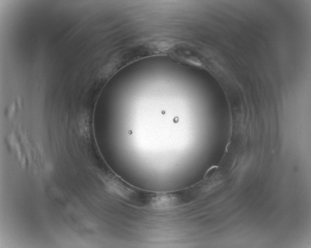 X0000067330274200604030941