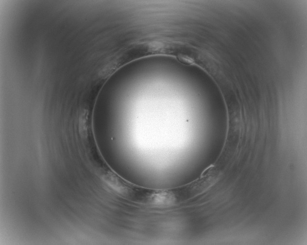 X0000067330275200604030941