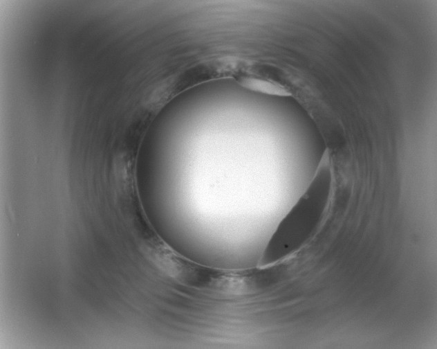 X0000067330276200604030941