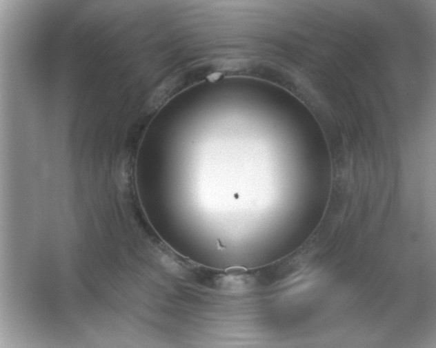 X0000067330277200604030941