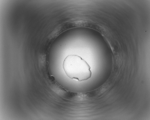 X0000067330278200604030941