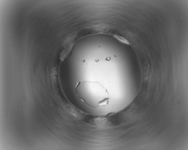 X0000067330279200604030941