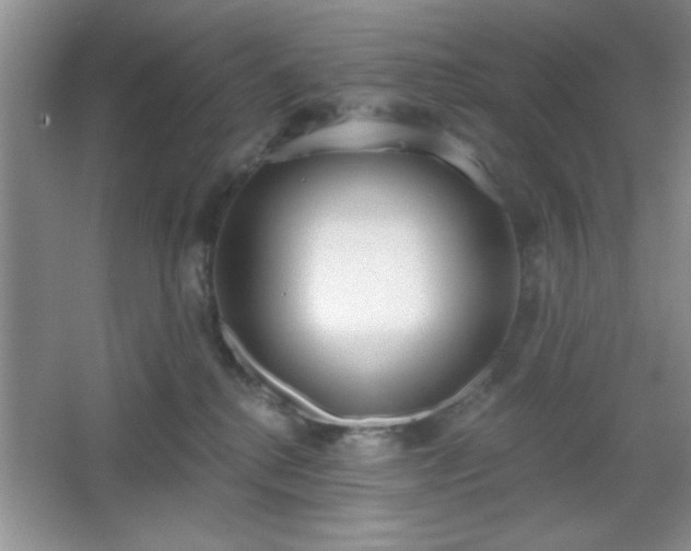 X0000067330280200604030941