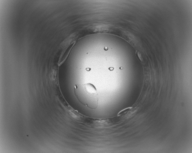 X0000067330281200604030941