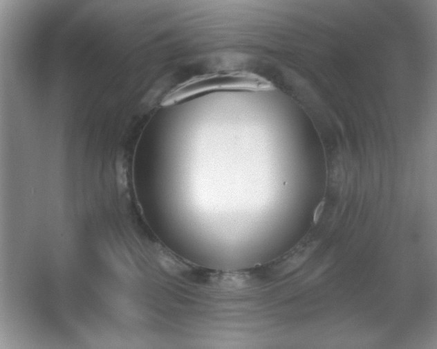 X0000067330282200604030941