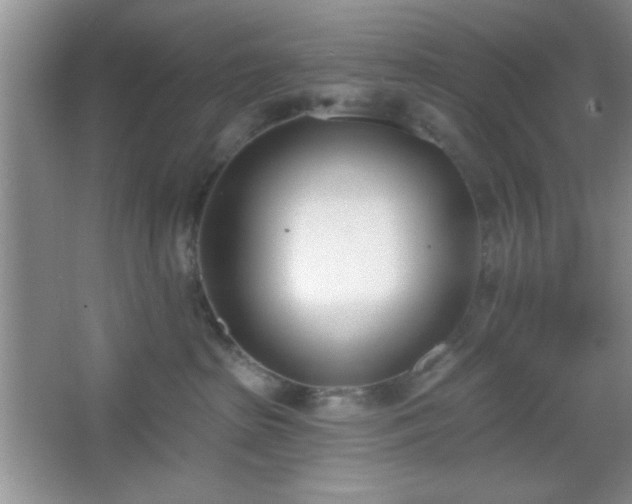 X0000067330285200604030941