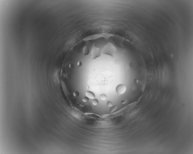 X0000067330286200604030941